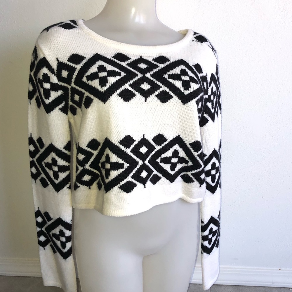 Body Central cropped sweater